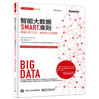 智能大数据SMART准则：数据分析方法、案例和行动纲领 下载