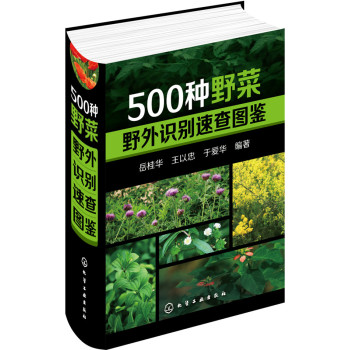 [PDF期刊杂志] 500种野菜野外识别速查图鉴 电子书下载 PDF下载