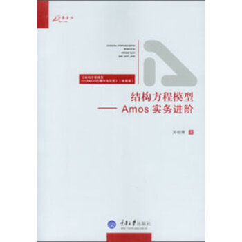 [PDF期刊杂志] 结构方程模型：Amos实务进阶   电子书下载 PDF下载