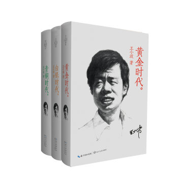 [PDF电子书] 王小波经典小说三部曲   电子书下载 PDF下载
