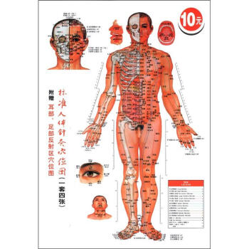 [PDF电子书] 标准人体针灸穴位图   电子书下载 PDF下载