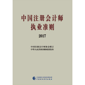 中国注册会计师执业准则   下载