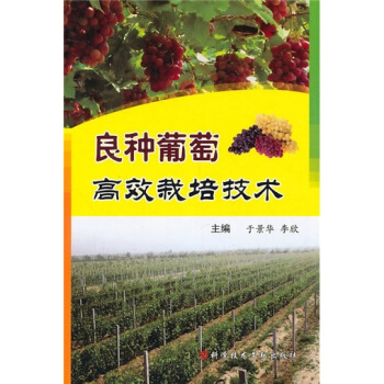 良种葡萄高效栽培技术  