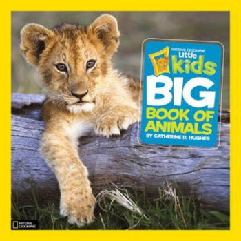 First Big Book of Animals 英文原版  下载