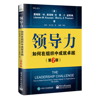 领导力：如何在组织中成就卓越（第6版） 下载