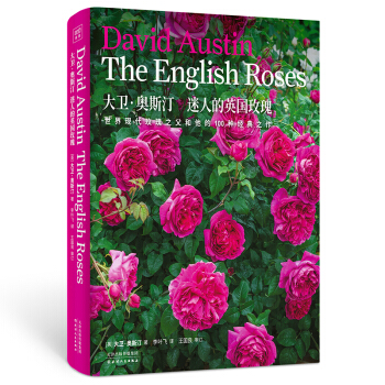 大卫·奥斯汀 迷人的英国玫瑰