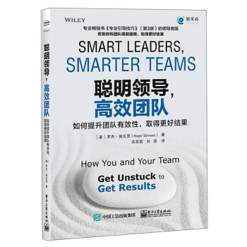 聪明领导，高效团队：如何提升团队有效性，取得更好结果