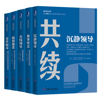 清领五种：世界领导力大师经典著作（套装共5册） 下载