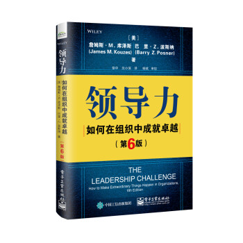 领导力：如何在组织中成就卓越（第6版）（精装版） 下载