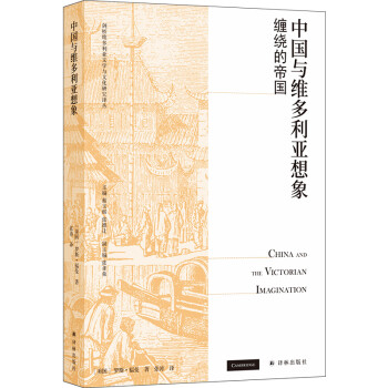 中国与维多利亚想象：缠绕的帝国/剑桥维多利亚文学与文化研究译丛 下载