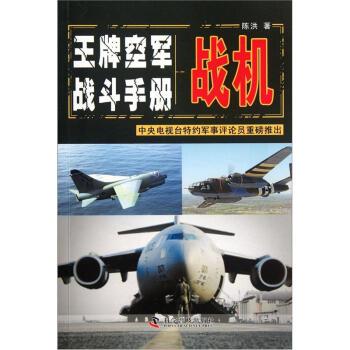 战机：王牌空军战斗手册 下载