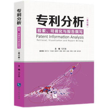专利分析——检索、可视化与报告撰写（修订版） 下载