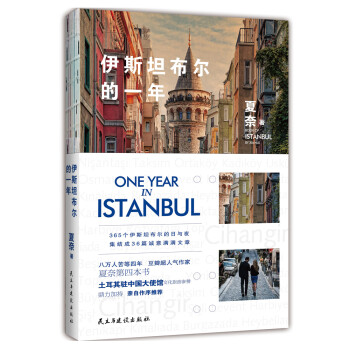 伊斯坦布尔的一年