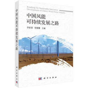 中国风能可持续发展之路 下载