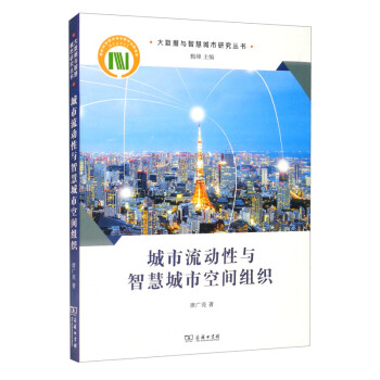 城市流动性与智慧城市空间组织/大数据与智慧城市研究丛书 下载