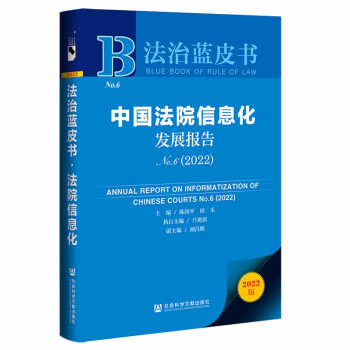 中国法院信息化发展报告(No.6 2022)/法治蓝皮书