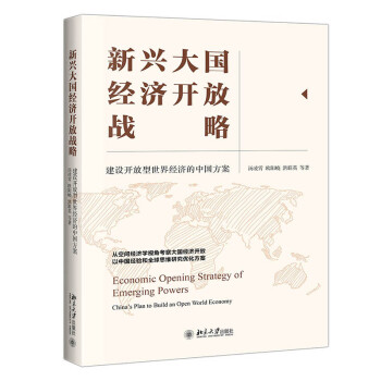 新兴大国经济开放战略: 建设开放型世界经济的中国方案