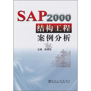 SAP2000结构工程案例分析 下载
