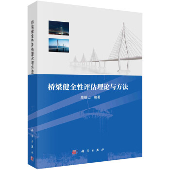 桥梁健全性评估理论与方法 下载