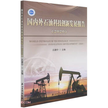 国内外石油科技创新发展报告(2020) 下载
