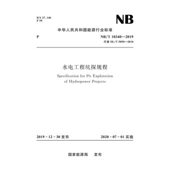 水电工程坑探规程（NB/T 10340-2019） 下载