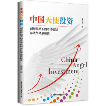 中国天使投资(创新驱动下的市场机制与政策体系研究)