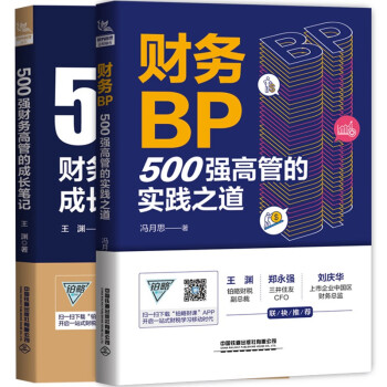财务BP：500强财务高管应修课（套装两册）