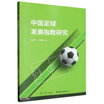 中国足球发展指数研究