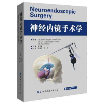 神经内镜手术学