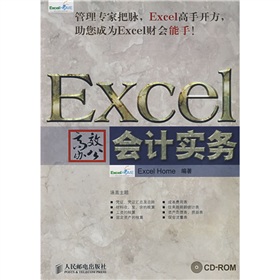 Excel高效办公：会计实务