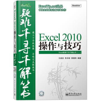 Excel疑难千寻千解丛书：Excel 2010操作与技巧（附CD光盘）