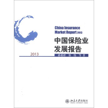 中国保险业发展报告2013 下载