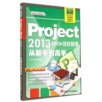 从新手到高手：Project2013中文版项目管理