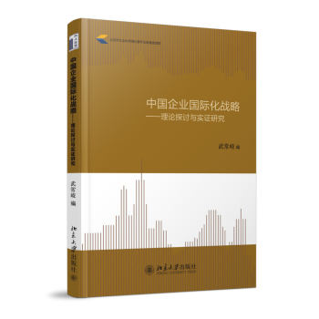 中国企业国际化战略：理论探讨与实证研究