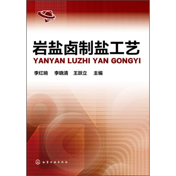 岩盐卤制盐工艺 下载
