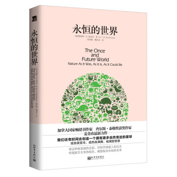 永恒的世界 下载