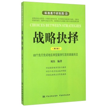 标准是个好东西3：战略抉择 下载