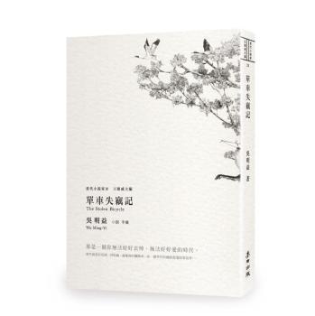 单车失窃记 下载