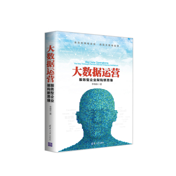 大数据运营服务型企业架构新思维 下载
