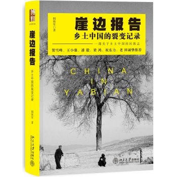 崖边报告：乡土中国的裂变记录 下载