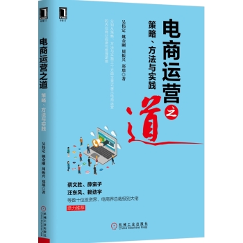 电商运营之道：策略、方法与实践 下载
