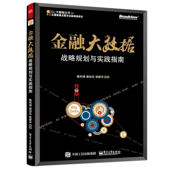 金融大数据：战略规划与实践指南 下载