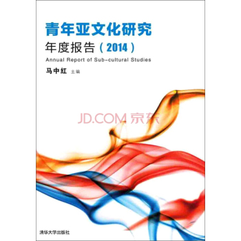青年亚文化研究年度报告 下载