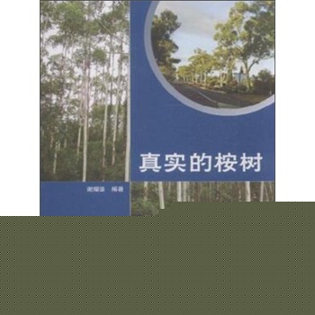 真实的桉树 下载