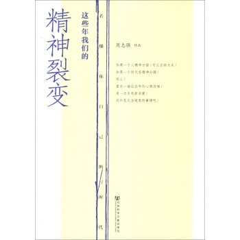 这些年我们的精神裂变：看懂你自己的时代 下载