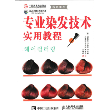专业染发技术实用教程 下载