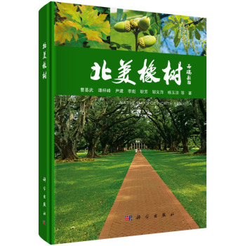 北美橡树 下载