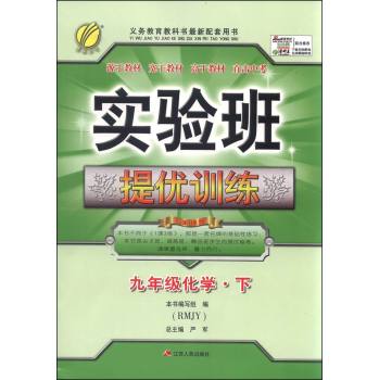 实验班提优训练 化学 九年级 下 人教版 下载
