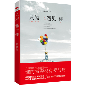只为遇见你 下载