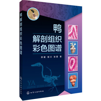 鸭解剖组织彩色图谱 下载